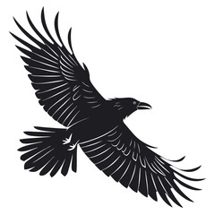 Obraz premium Majestic raven in flight silhouette