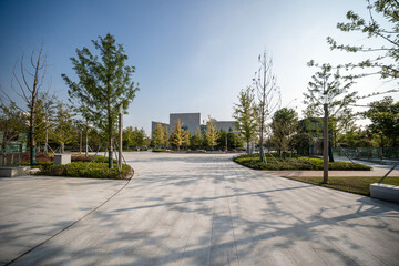 Tranquil Urban Oasis: Nature's Embrace in a Modern Landscape