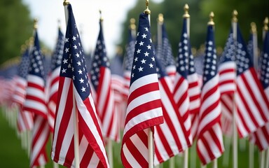 A large group of American flags. Veterans or Memorial day display. High quality