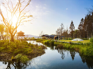 Fototapeta premium Tranquil Park Landscape with Reflections and Walking Path in Nature