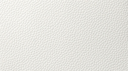 White Pearl Ivory Grey Quality Fine Grained Leather Collection Luxury Brands Wallpaper Background for Business Presentation Slides Elegant Semi-Smooth Soft Texture Plain Solid Color Surface Skins 16:9