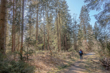 Naklejka premium Sunny Spring of 2025