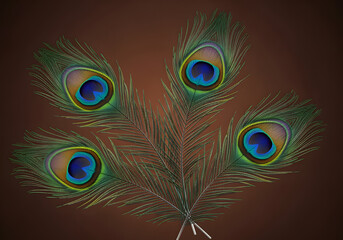 Obraz premium Four vibrant peacock feathers arranged on a brown background, showcasing their iridescent colors and intricate details