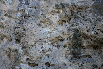 Texture, background. The surface of the stone. Close-up