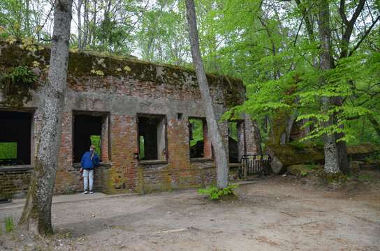 remains of buildings, trees, the concrete town of bunkers Wolf's Lair in Gierłoż near Kętrzyn