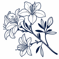 Fototapeta premium abstract floral background with white azalea flowers