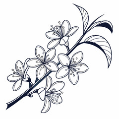 abstract floral background with  osmanthuses