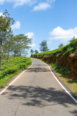 road in the countryside