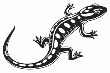 Fototapeta premium spotted salamander silhoette black vector 