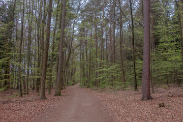 Sunny Spring of 2025