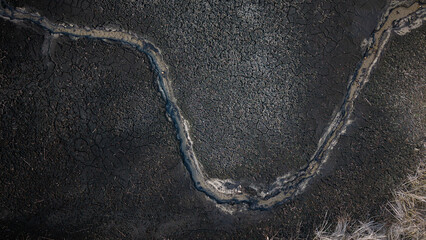 Susza na Stawach Przygodzickich