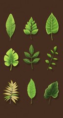 Nine different green leaves on a dark brown background