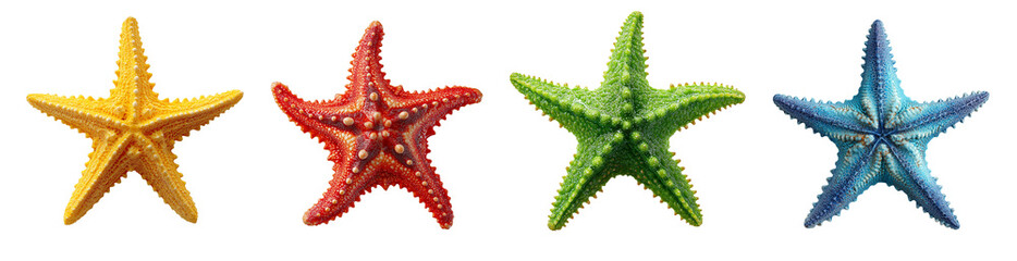 Collection set of starfish isolated on white and transparent background, cut out png