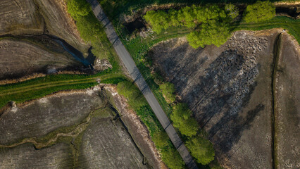 Susza na Stawach Przygodzickich