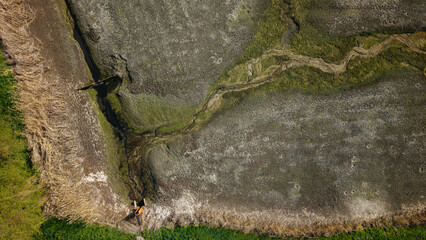 Susza na Stawach Przygodzickich