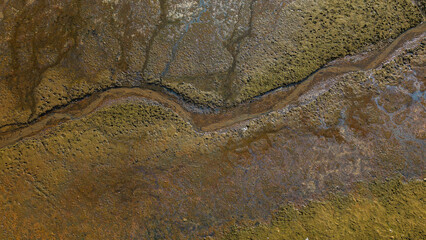 Susza na Stawach Przygodzickich