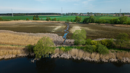 Susza na Stawach Przygodzickich