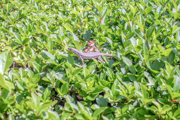 Sunny Spring of 2025