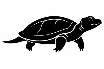 Fototapeta premium softshell turtle sihouette black vector 