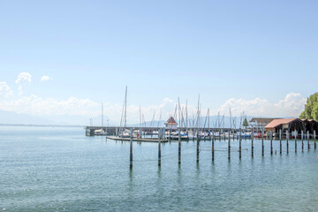 Sunny Spring of 2025