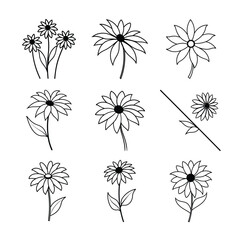 Black Eyed Susan Line Art Vector Set Collection