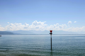 Sunny Spring of 2025