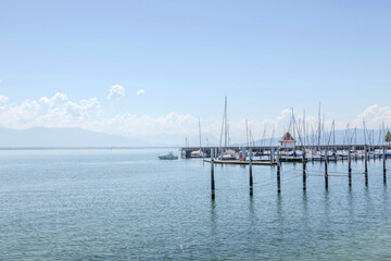 Sunny Spring of 2025