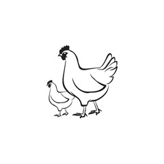vector illustration of a chicken