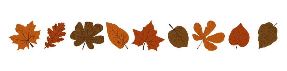 Set of hand drawn fall leaves in orange and brown colors. Autumn foliage design for seasonal design. Vector illustration