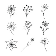 Obraz premium Nigella Flower Line Art Vector Set Collection