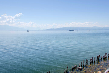 Sunny Spring of 2025