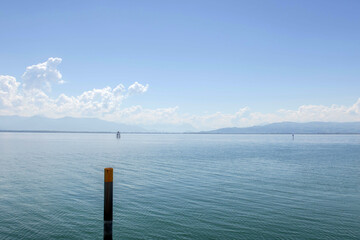 Sunny Spring of 2025