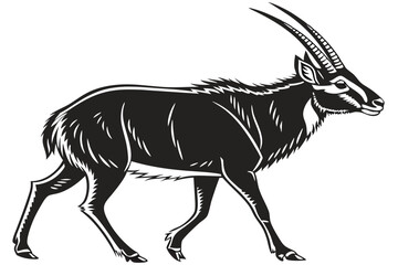 Obraz premium saola sihouette black vector 