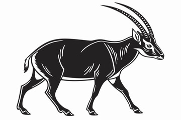 Obraz premium saola sihouette black vector 