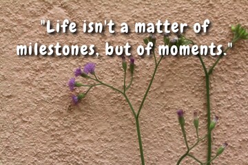 Life quotes - Life isn't a matter of milestones, but of moment.