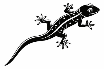 Fototapeta premium salamander sihouette black vector