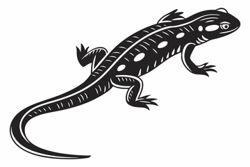 Obraz premium salamander sihouette black vector