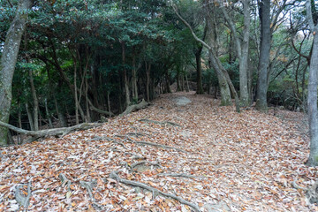 Kyoto Trail and surrounding area scenery