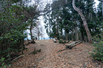 Kyoto Trail and surrounding area scenery
