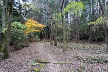 Kyoto Trail and surrounding area scenery