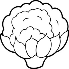 cauliflower outline vector illustration line art