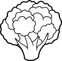 cauliflower outline vector illustration line art
