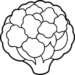cauliflower outline vector illustration line art