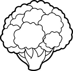 cauliflower outline vector illustration line art