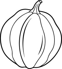 chayote outline vector illustration line art