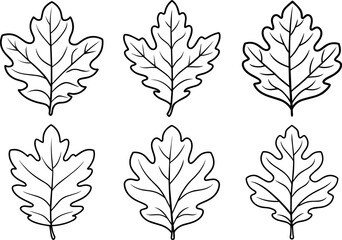 Set of oak leaf outline coloring book page line art vector illustration digital drawing