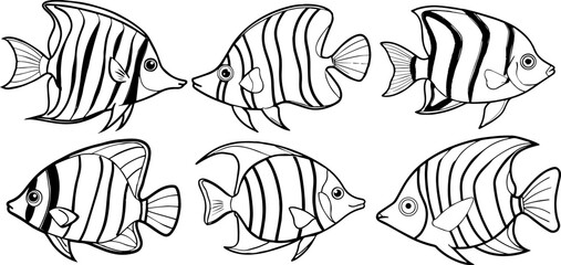 Set of butterfly fish outline vector illustration line art, silhouette