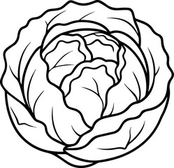 cabbage outline coloring book page line art vector illustration