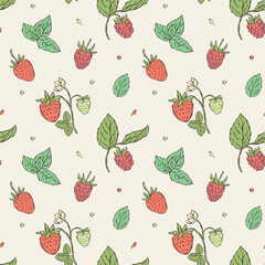 Seamless vector pattern featuring hand-drawn raspberries, strawberries, and mint leaves in pastel tones. Minimal doodle-style illustrations perfect for packaging, textiles, wallpapers