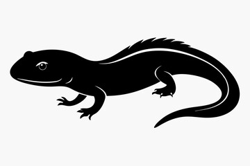 Fototapeta premium rough skinned newt sihouette black vector 